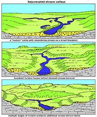 Diagram showing the formation of elevated stream terraces over time.