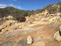 View of rocks and boulders along a dry creekbed with a chaparral-covered mountain peak in the distance.