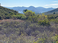 View looking into the valley of Lake Hodges with a low coastal sage scrub plant community in the foreground.