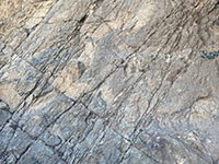 A gray granite wall-like outcrop with fractures criss-crossing the surface.