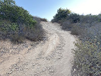 A steep, rocky section of the Dima Drive Loop Trail