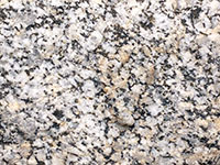 Tonalite is dominated by sodium and calcium plagioclase with some quartz.
