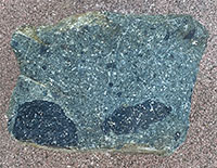 A rock sample of greenstone-andesite with inclusions of basalt fragments.