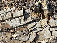 View of an exposure of bedrock with a crossing pattern of vertical and horizontal fracture.