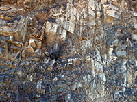 View of a bedrock exposure with an abundance of vertical fractures.