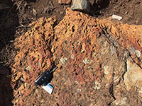 A weathered surface of greenstone bedrock that preserves a surface coating or orange limonite and red hematite.