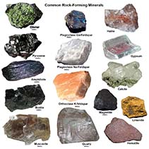 Rock forming mineral samples: olivine, pyroxene, amphibole, biotote, muscavite, plagioclase, orthoclase feldspare, quartz, gypsum, halite, calcite, magnetite, hematite, limonite.