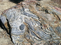Outcrop of folded schist and gneiss layers along the Double Peak Trail