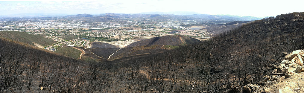 Panoramic view of the fire-scorched mountainside on the north side of Double Peak after the Cocos Fire of 2014. the slopes are covered with blackened sticks and trunks of manzanita shrubs and the gray, ash-covered rocky soil.