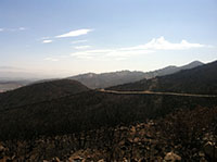 View of the fire-scorched mountainside on the northeast side of Double Peak.