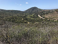 Chaparral and forest-covered landscape and trails and a road leading up to a distant ridgeline of the Elfin Forest Reserve.