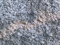 A speckled gray and black granitic rock face with a pink feldspar aplite vein running diagonally across.