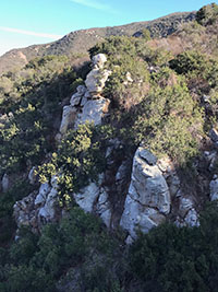 Massive white-gray rocky outcrops of granite amongs chaparral on the mountain slope along the Way Up Trail.