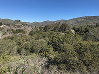 The San Elijo Gorge valley filled mostly with oak trees with mountainsides in the distance.