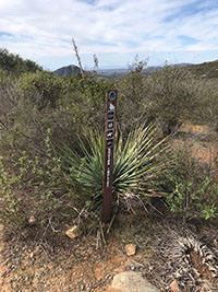 Trail signt with a yucca plant behind it.