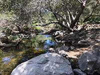Rocks and trees along Escondido Creek