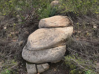A stack of several rocks amid bushes that looks remarkable like a face with a big nose, yucca brissles for hair.