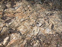 A trailside outcrop of gray and orange weathered granite display multiple sets of fractures running in different directions.