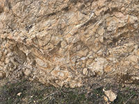 View of a fractured granite outcrop that displays round, rust-colored liesgang rings on some of the exposed surfaces.