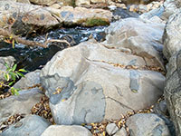 Large basalt inclusions in buff-colored granite outcrops along Escondido Creek.