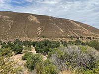 Elsinore Fault exposed along a side-hill bench in the lower wall of Banner Canyon.