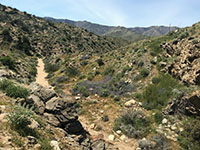 Box Canyon wash drains into Mason Valley betwen the Ghost Range to the south and Granite Mountain to the north.