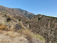A strand of the Elsinore Fault cuts across the head of the canyon south of the Nate Harrison Grade.