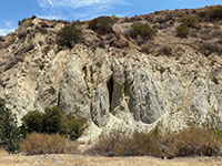 Eroded fractures in the Elsinore Fault Zone (Glen Ivy section) exposed along Hagador Canyon.