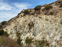 Fracture sandstone beds in the Elsinore Fault Zone (Glen Ivy section) exposed along Hagador Canyon.