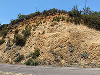 Alluvial gravel deposits unconformably cap deeply fractured and weathered granite exposed in a cut along South Grade Road.