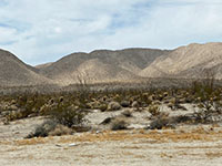 View of a fault scarp cutting across alluvial fans along the base of the Terra Blanca Mountains.