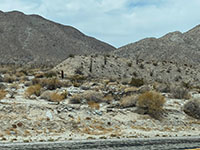 Shutter ridge with fault scarp along Highway S2 south of Agua Caliente CP.
