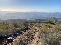 View to the south along the Franks Peak Trail, an unpaved fire road.
