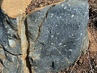 Example of the basalt with plagioclase phenocrysts. This sample is along the Mt. Whitney trail.