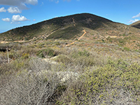 Chaparral-covered flat ridge top south of Franks Peak at Stop F. Two small granite outcrops in the brush are in the foreground.