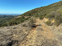Spur Trail, an unpaved fire road on the chaparral-covered south flank of Franks Peak.