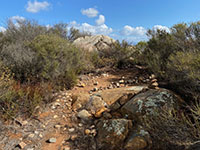 View of large and small granitic boulders and outcrops amid chaparral.
