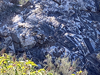 Massive basalt xenoliths in granite matrix exposed along Alva Canyon on the south shore of Lake Hodges as seen from the Fletcher Point Trail.