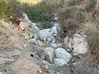 Metavolcanic rock exposed in a creek crossing along the Fletcher Point Trail near Alva Canyon.