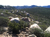 View looking east along the trend of white granite boulder ouctrops along Felecita Highlands area.