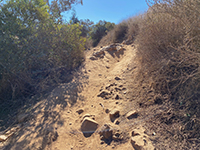 Rocky section of the CTC Trail south of Hernandez Hideaway.