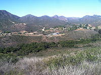 Del Dios Creek oak forest and trail.