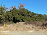 Del Dios Creek Trailhead near the community park.