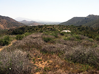 View looking east along the Mid-Valley_Mesa Trail with Pasqual Valley in the distance.