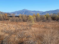 View of wetlands, I-15, and Gonzales Peak.