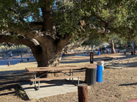 Picnic area with oak tree near Visitor Center.