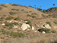 Granite boulder outcrops below the Lake View Trail.
