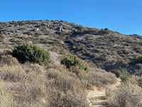 View of a slope along  Mid Valley Mesa Trail.