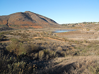 View of the Bernardo Bay Trail with Bernardo Mountain.