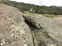 Lichen-covered granite outcrop along the Bernardo Bay Trail.
